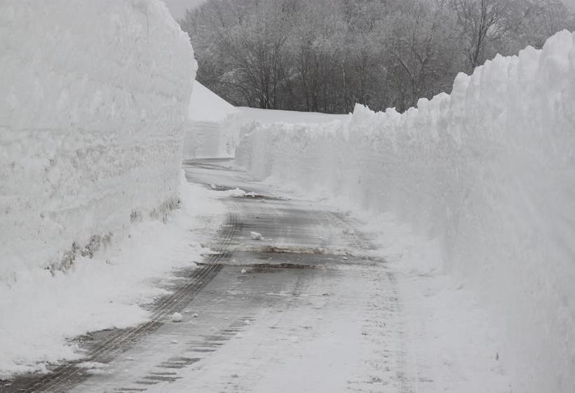 Bed and Breakfast La Pinetina  | San Massimo | Campobasso | Italia 19