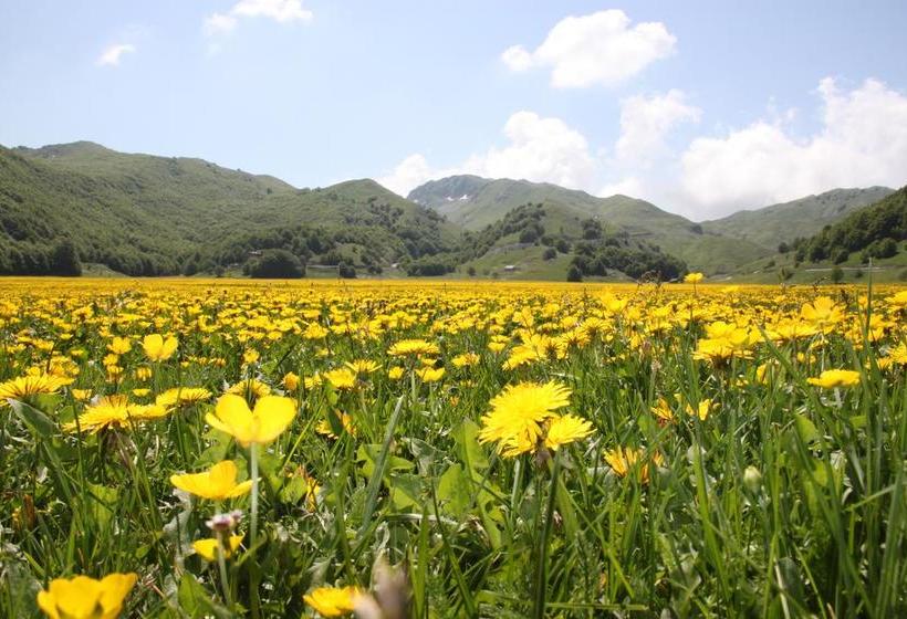 Bed and Breakfast La Pinetina  | San Massimo | Campobasso | Italia 4