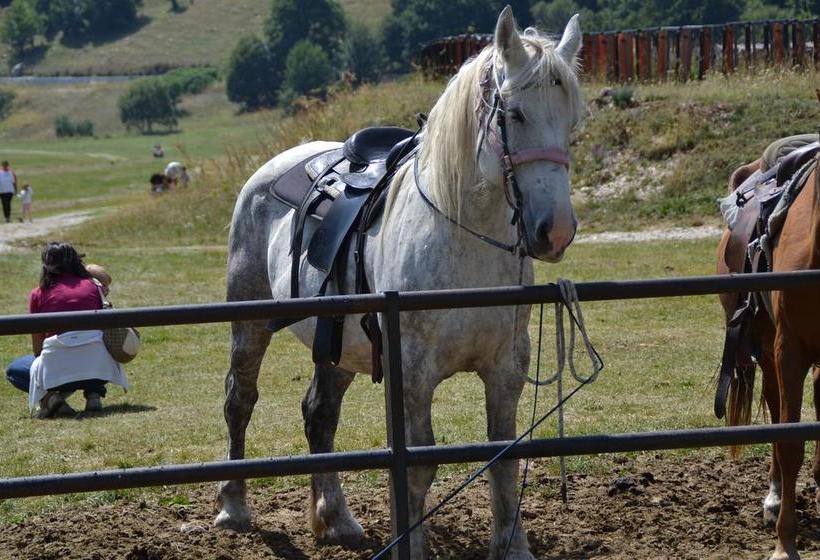 Bed and Breakfast La Pinetina  | San Massimo | Campobasso | Italia 5