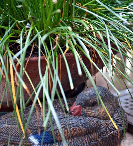 Hotel Nice  | Viareggio | Lucca | Itália 19