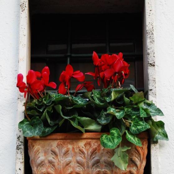 Bed and Breakfast Le Stanze Dei Nonni  | Avellino | Avellino | Italia 14