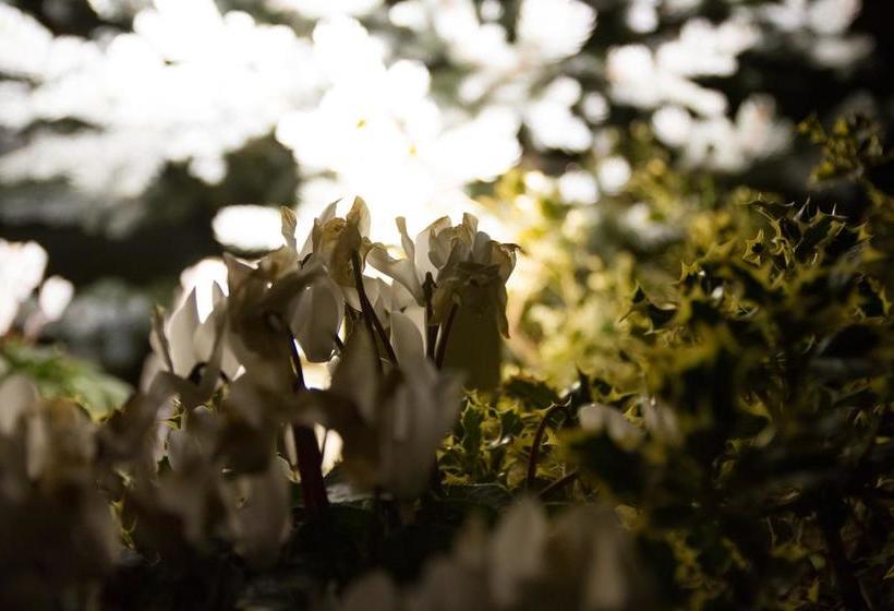 Buena Vista B&b  | Montesilvano | Pescara | Italia 11