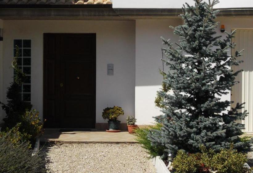 Buena Vista B&b  | Montesilvano | Pescara | Italia 14