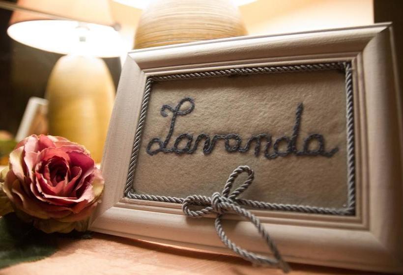 Buena Vista B&b  | Montesilvano | Pescara | Italia 3