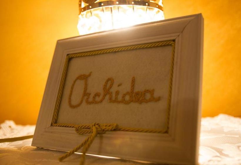 Buena Vista B&b  | Montesilvano | Pescara | Italia 5