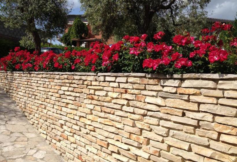 Bed & Breakfast Mafi  | Orsogna | Chieti | Italia 3