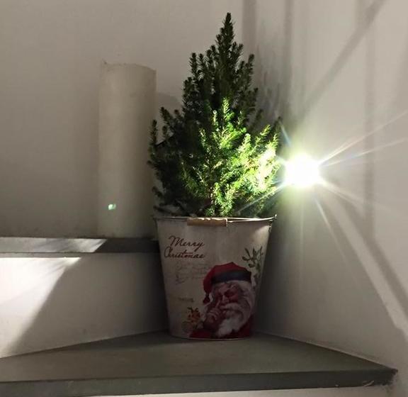 Bed and Breakfast Il Campanile  | Salerno | Salerno | Italia 8