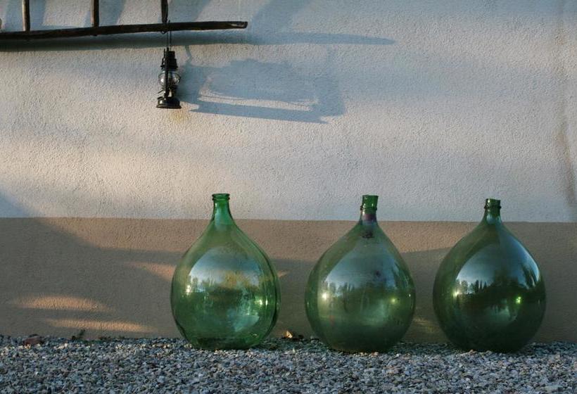 B&b Podere Rigopesci  | Monticchiello | Siena | Italia 2