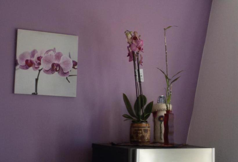 B&b A Un Passo Dal Mare  | Cagliari | Sardegna | Italia 18