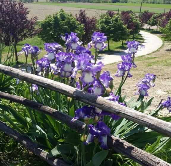 B&b Tenuta La Gatta  | Calamandrana | Asti | Italia 2