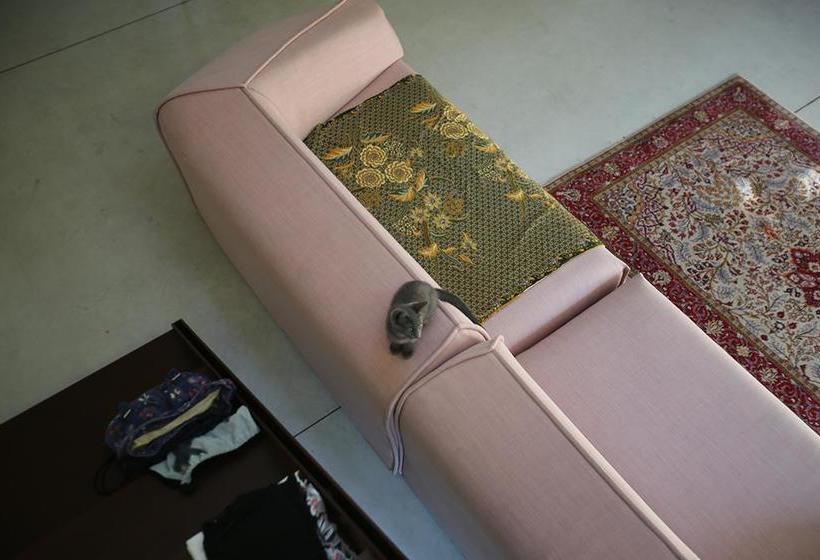 Bed and Breakfast 20dimare  | Cesenatico | Forlì-Cesena | Italia 1