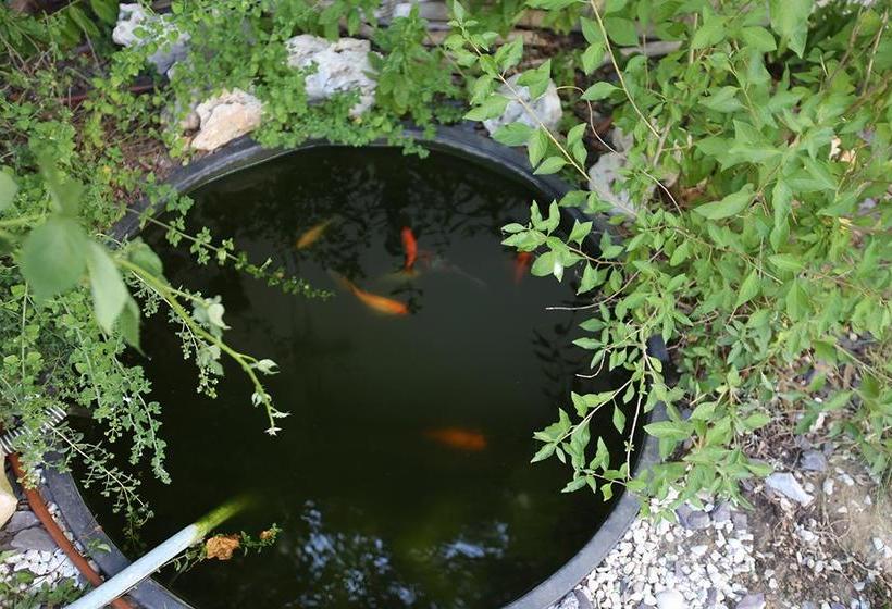 Bed and Breakfast 20dimare  | Cesenatico | Forlì-Cesena | Italia 6