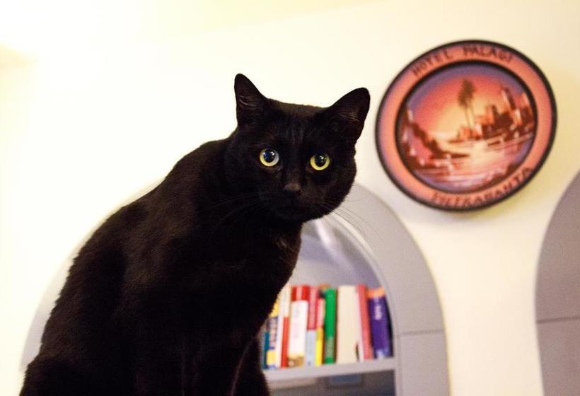 Hotel Palagi  | Pietrasanta | Lucca | Italia 17