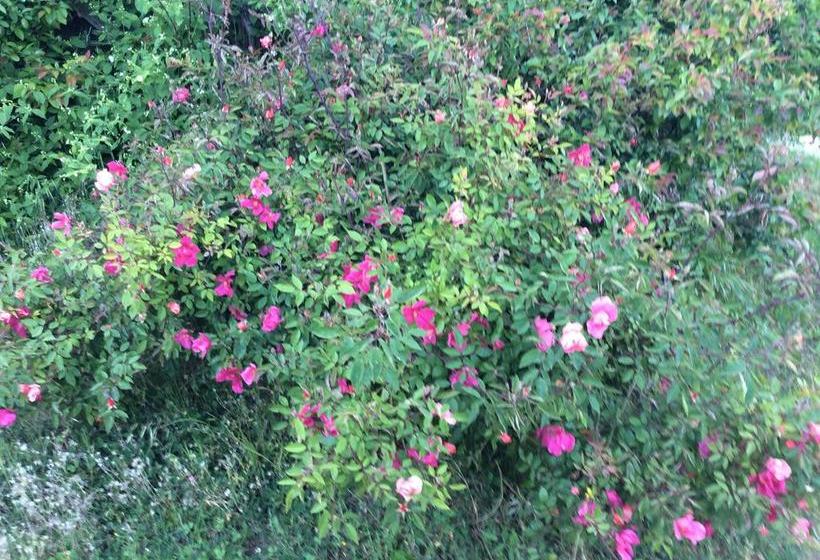 Podere Cristina B&b Villa Rossana  | Langhirano | Parma | Italia 14