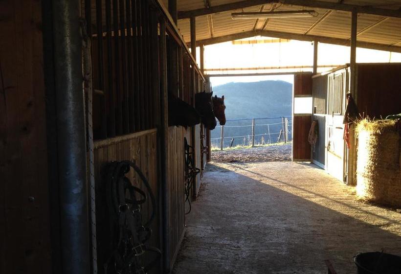 Podere Cristina B&b Villa Rossana  | Langhirano | Parma | Italia 17