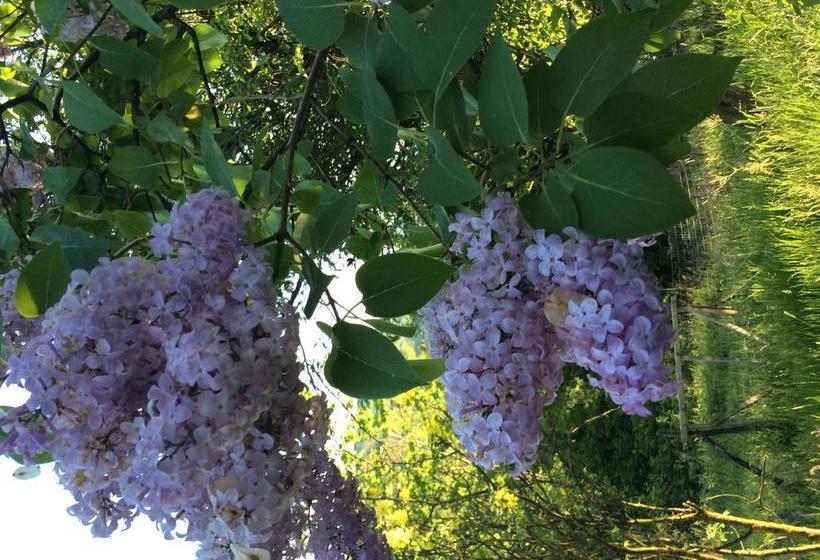 Podere Cristina B&b Villa Rossana  | Langhirano | Parma | Italia 6