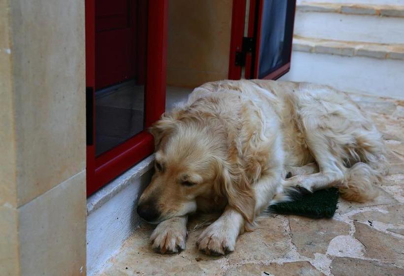 B&b Giovannarolla Green House  | Ostuni | Brindisi | Italia 19