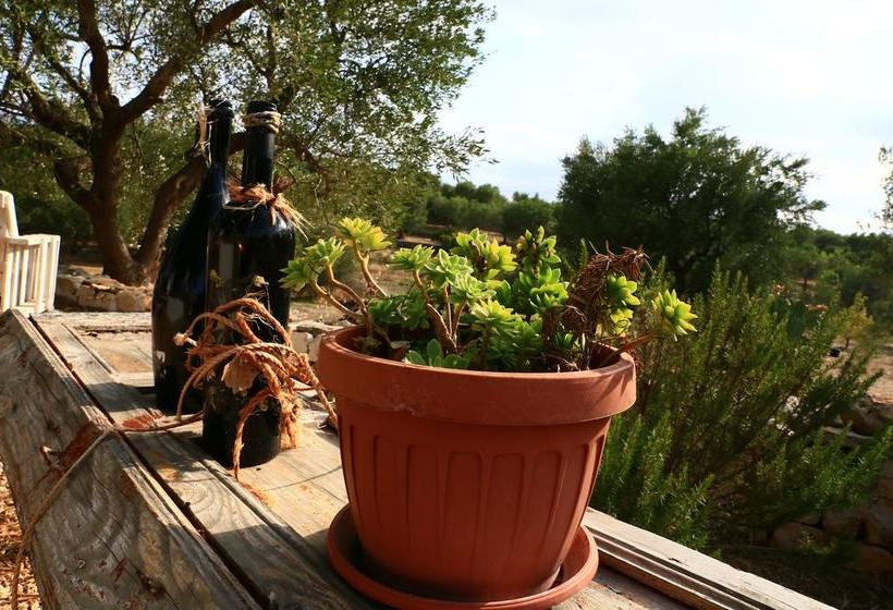 B&b Giovannarolla Green House  | Ostuni | Brindisi | Italia 20