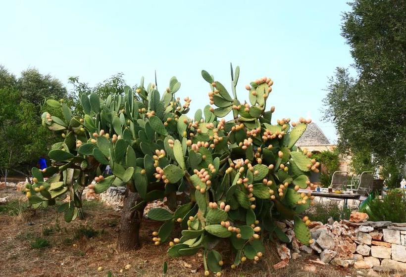 B&b Giovannarolla Green House  | Ostuni | Brindisi | Italia 6