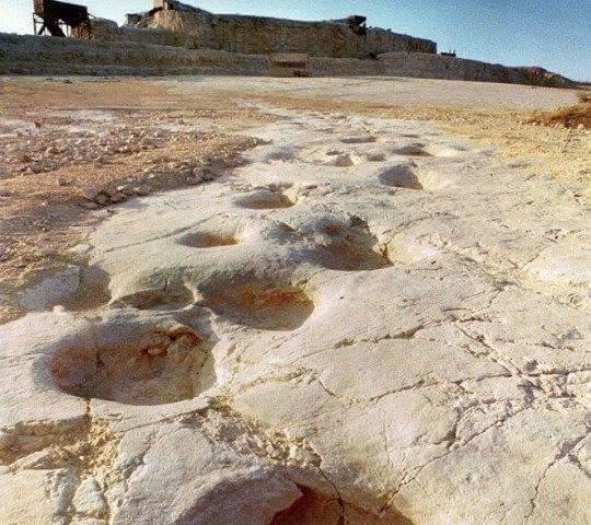 B&b Antico Castello  | Altamura | Bari | Italia 17