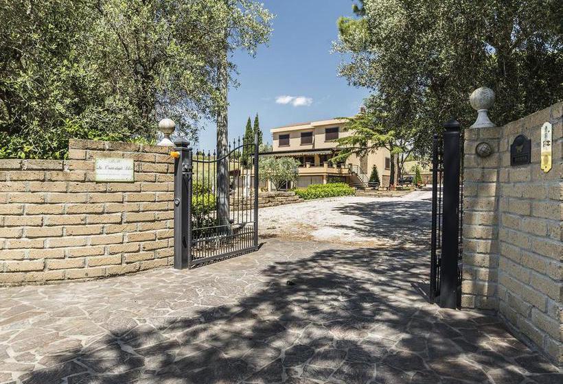 Bed And Breakfast La Corte Degli Ulivi  | Civitavecchia | Roma | Italia 3