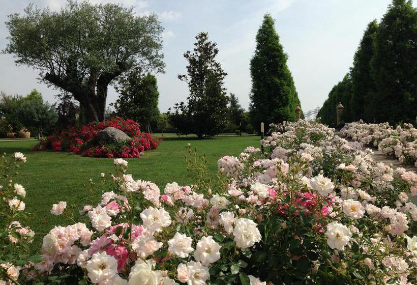 La Vedetta Bed And Breakfast  | Castelvetro di Modena | Modena | Italia 12