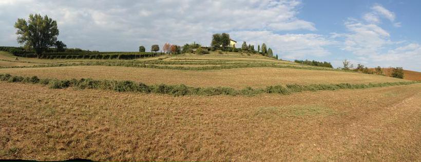 La Vedetta Bed And Breakfast  | Castelvetro di Modena | Modena | Italia 15