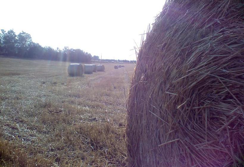 B&b Villa Adriano  | Benevento | Benevento | Itália 16