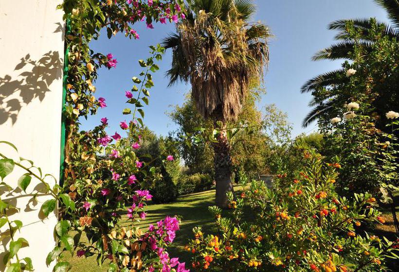 B&b Armonia  | Tortoreto | Teramo | Italia 15