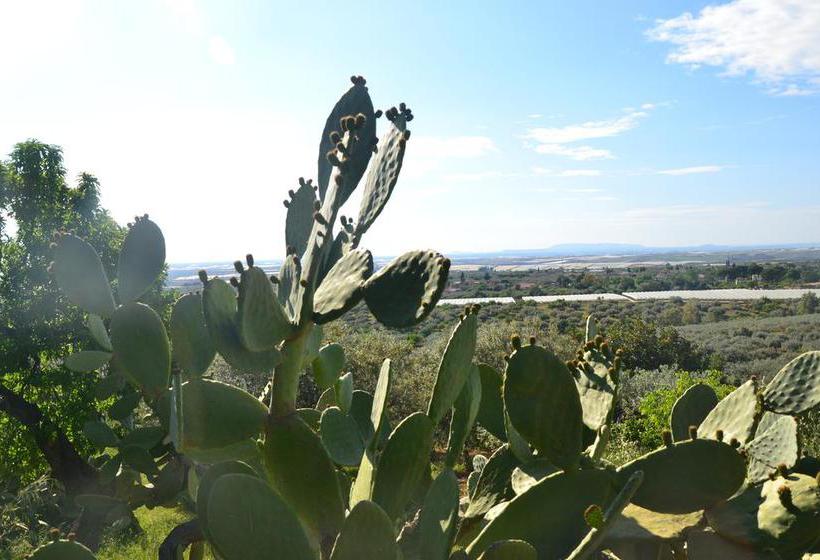 Ronnavona Casa Vacanze B&b  | Chiaramonte Gulfi | Ragusa | Italia 15