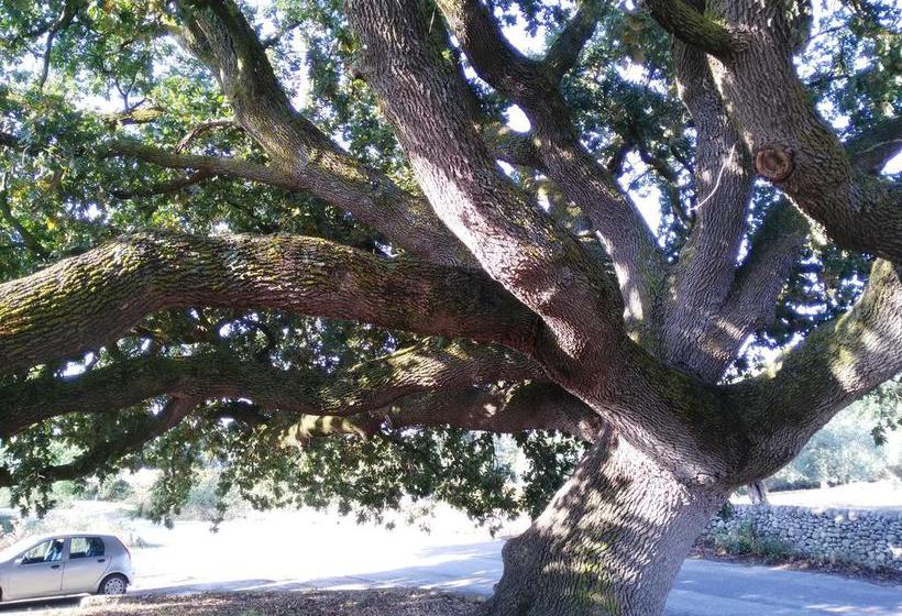 Ronnavona Casa Vacanze B&b  | Chiaramonte Gulfi | Ragusa | Italia 8