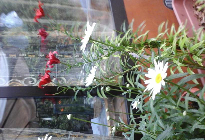 B&b Airport Orio  | Grassobbio | Bergamo | Italia 19