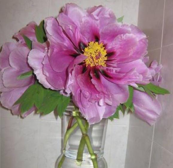 B&b Ristorante Del Monte  | Colleretto Giacosa | Torino | Italia 5