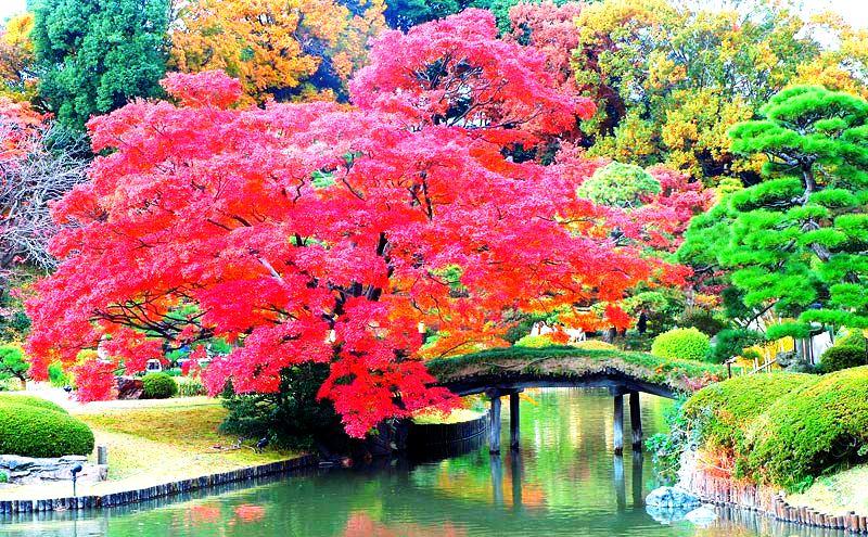 Acero Rosso B&b  | San Lazzaro di Savena | Bologna | Italia 12