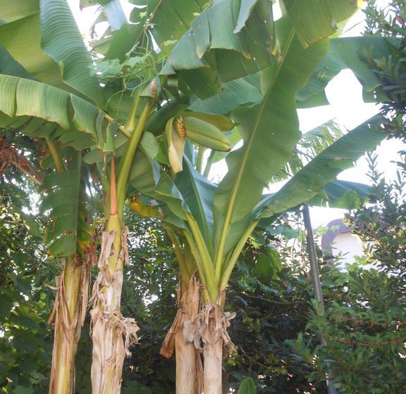 B&b Gli Angeli  | Cervia | Ravenna | Italia 13