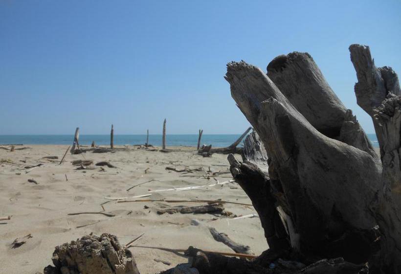 B&b Gli Angeli  | Cervia | Ravenna | Italia 14