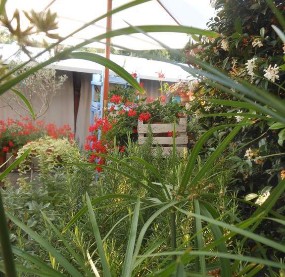 B&b Gli Angeli  | Cervia | Ravenna | Italia 15