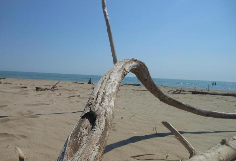 B&b Gli Angeli  | Cervia | Ravenna | Italia 8