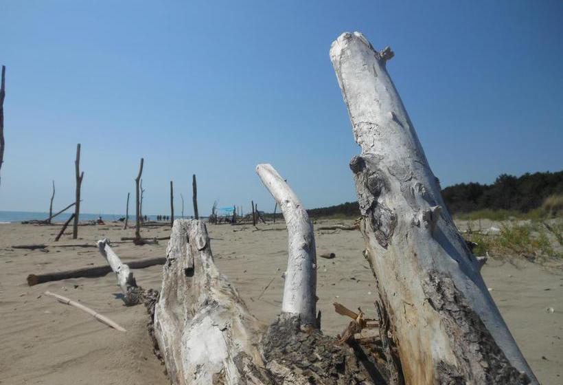 B&b Gli Angeli  | Cervia | Ravenna | Italia 9