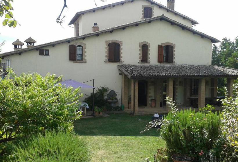 Bed and Breakfast I Poggetti  | Castel Giorgio | Terni | Italia 15