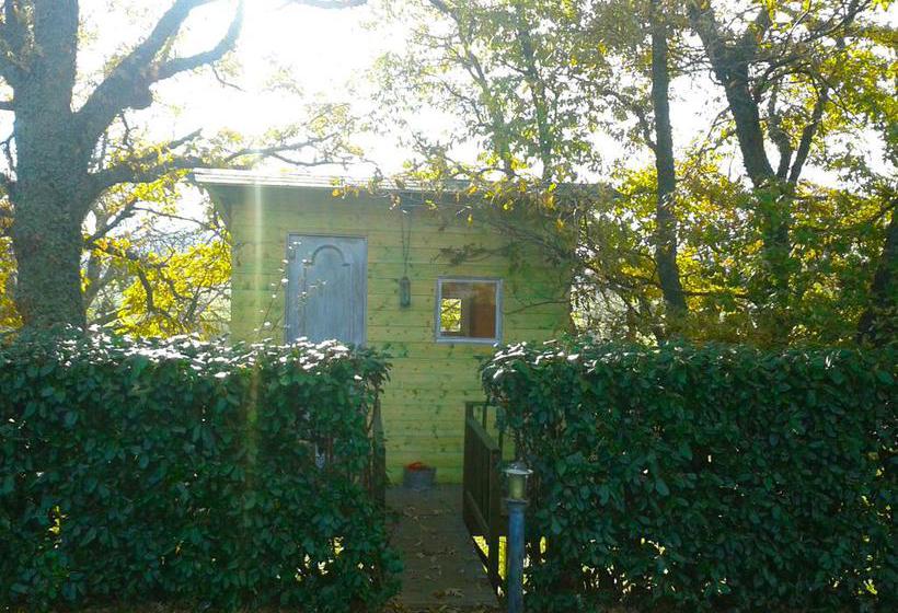 Bed and Breakfast I Poggetti  | Castel Giorgio | Terni | Italia 3