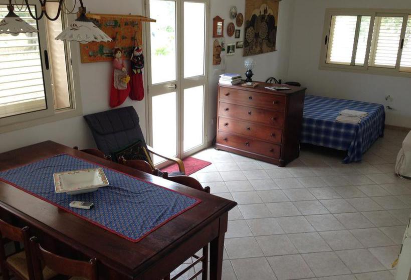 B&b Finestre Tra Gli Ulivi  | Mesagne | Brindisi | Italia 12