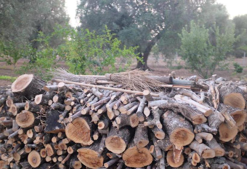 B&b Finestre Tra Gli Ulivi  | Mesagne | Brindisi | Italia 14