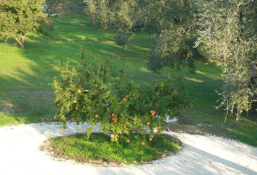 B&b Finestre Tra Gli Ulivi  | Mesagne | Brindisi | Italia 19