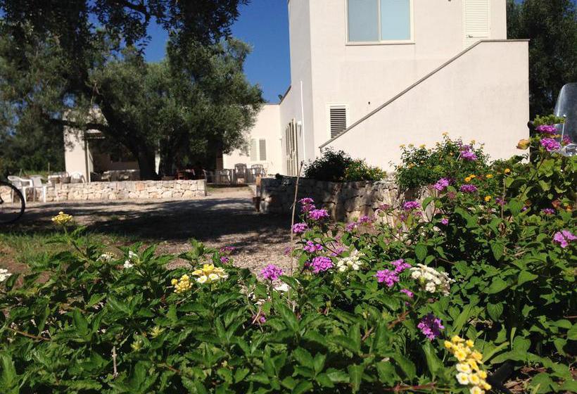 B&b Finestre Tra Gli Ulivi  | Mesagne | Brindisi | Italia 2