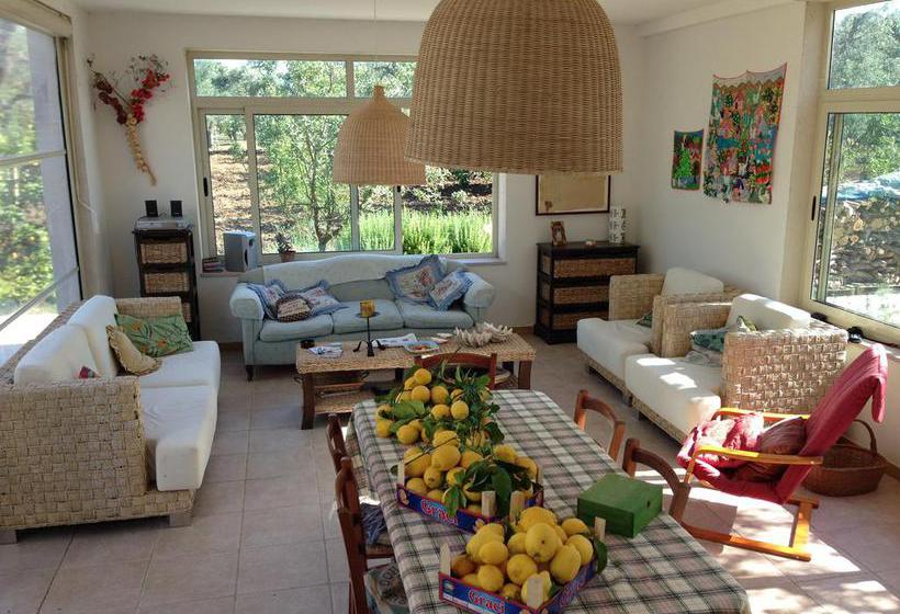 B&b Finestre Tra Gli Ulivi  | Mesagne | Brindisi | Italia 20