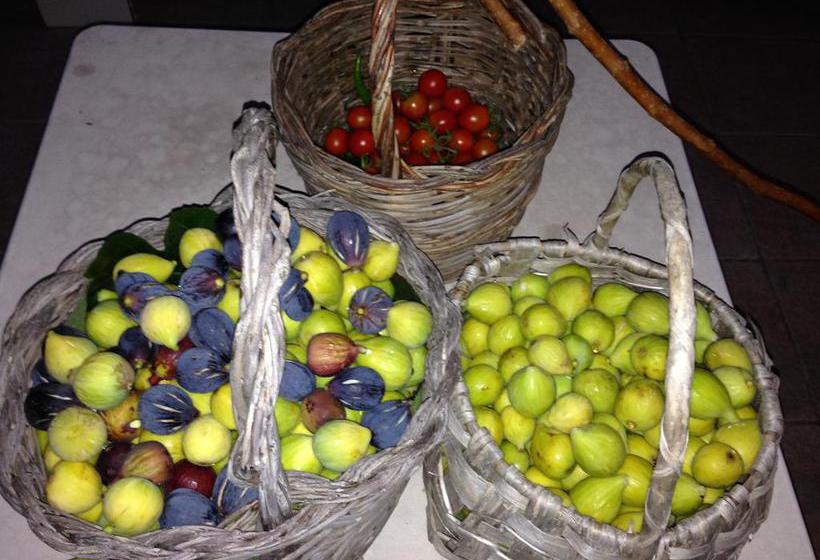 B&b Finestre Tra Gli Ulivi  | Mesagne | Brindisi | Italia 3