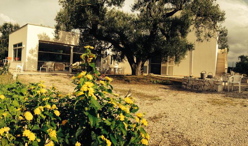 B&b Finestre Tra Gli Ulivi  | Mesagne | Brindisi | Italia 4