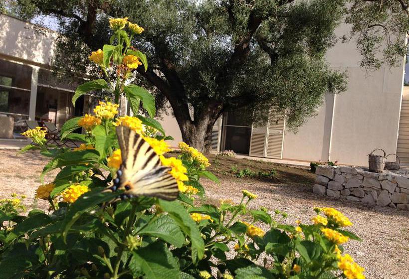 B&b Finestre Tra Gli Ulivi  | Mesagne | Brindisi | Italia 7