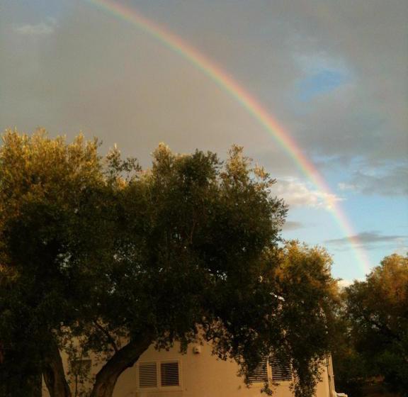 B&b Finestre Tra Gli Ulivi  | Mesagne | Brindisi | Italia 8